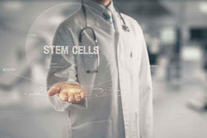 幹細胞って何？どんな種類があるの？幹細胞について詳しく解説