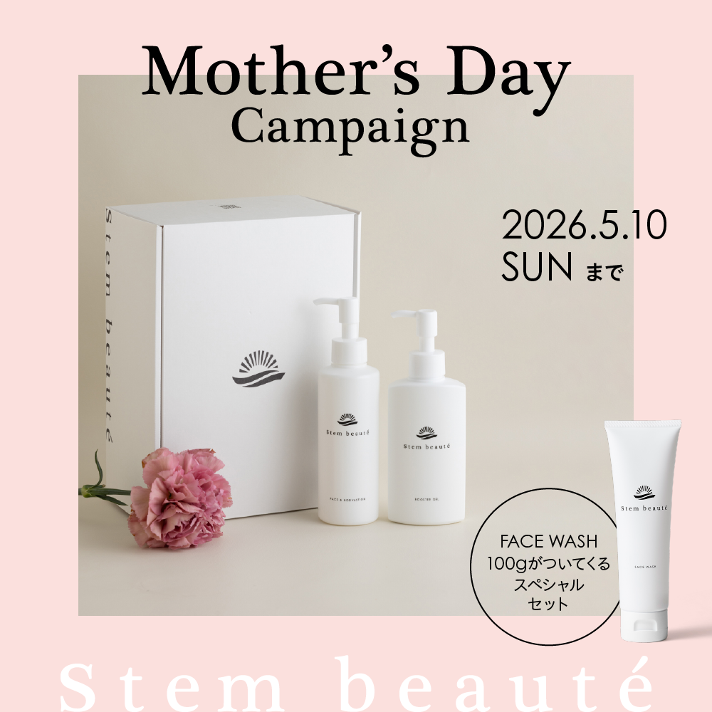 母の日ギフトセット