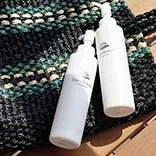 ステムボーテ インスタグラム イメージ