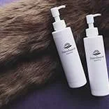 ステムボーテ インスタグラム イメージ